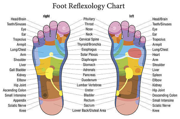 Health Benefits of Foot Massage & Reflexology