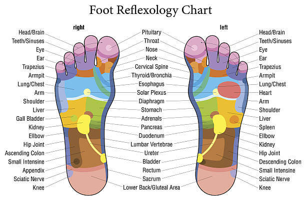 https://relaxe.co/cdn/shop/articles/Foot-massage-reflexology-1_1024x1024.jpg?v=1646373076