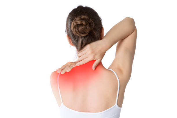 Eternal Shiatsu Pillow Neck Back Muscle Pain Relief Massager